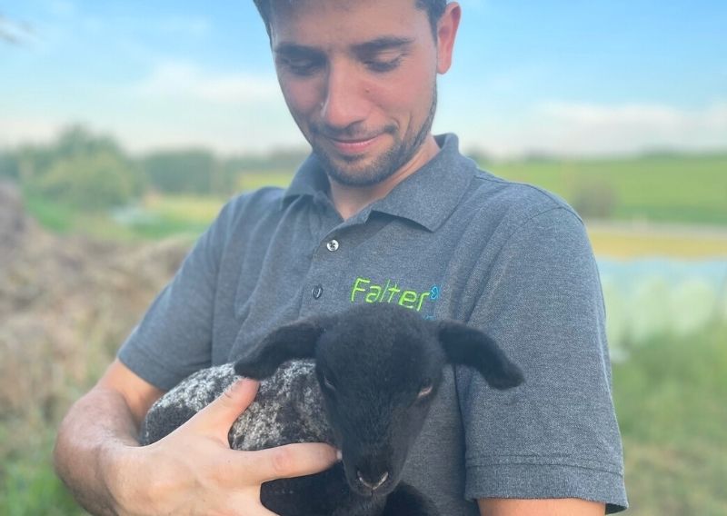 Johann Falter mit einem kürzlich geborenem Schafkopf-Schaf im Arm