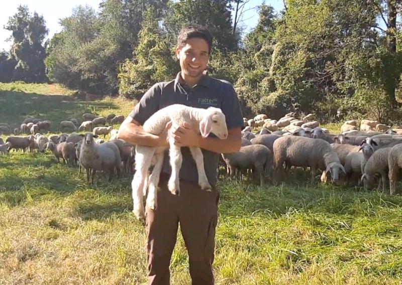 Johann Falter bei der Schafherde am Inn bei Neuötting. Er hält ein 10 Tage altes Merino-Schaf im Arm.