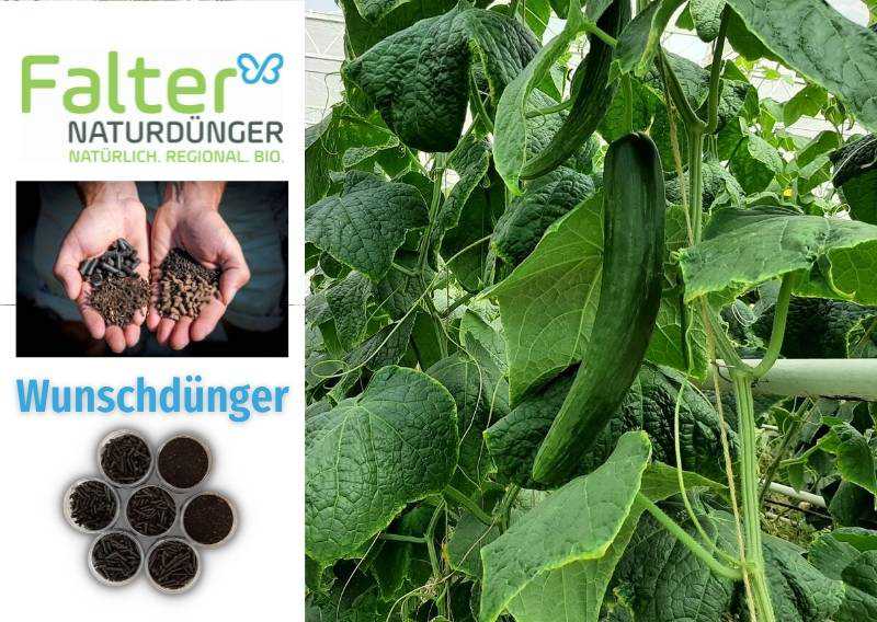 Falter Naturdünger produziert Wunschdünger, also Biodünger nach Kundenwunsch.