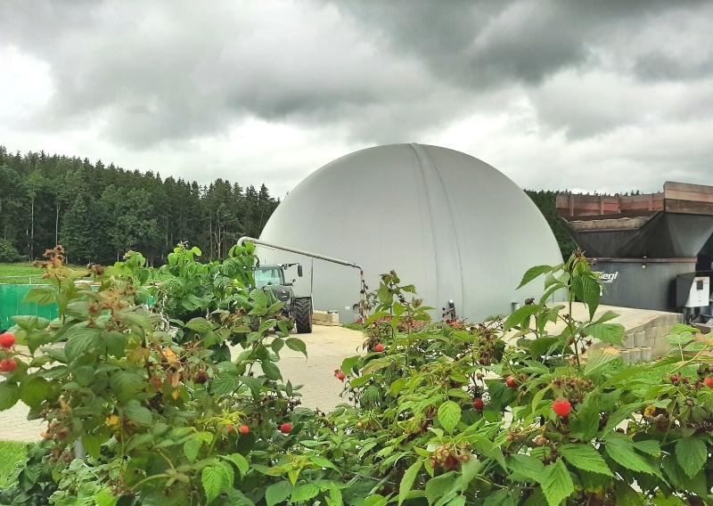 Blick auf die Bio-Biogasanlage am Falter-Hof. Im Vordergrund rote Himbeeren am Strauch.