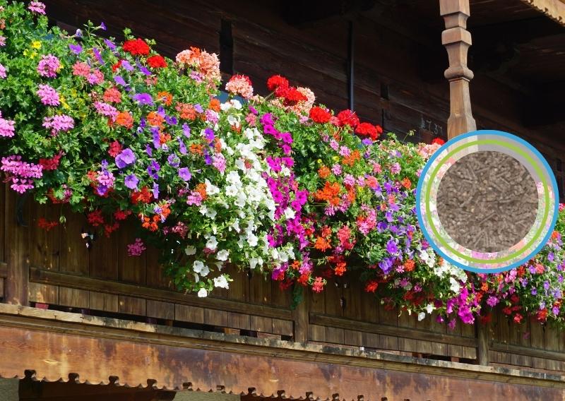 Beispielbild für die Anwendung des Bio Düngermix für Balkon und Kübelpflanzen
