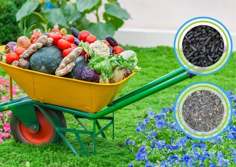 Beispielbild für die Anwendung des Falter BIO Naturdüngers im Garten für Gemüse, Rasen und Blumen