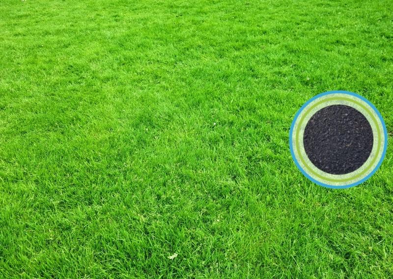 Im Hintergrund Rasen, im Vordergrund im Kreis BIO Falter Naturdünger als Feingranulat