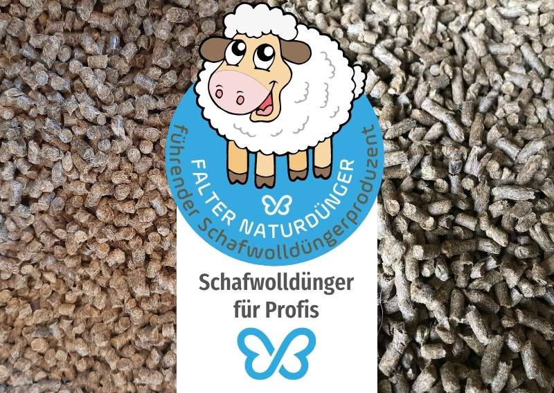 Schafwolldünger für Profis. Falter Naturdünger - führender Schafwolldüngerproduzent. Link zu https://www.falter-naturduenger.de/produkte/schafwollduenger/
