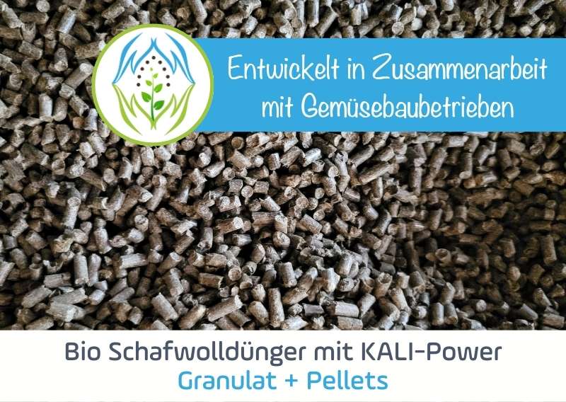 BIO Schafwolldünger mit KALI Power, entwickelt in Zusammenarbeit mit Gemüsebaubetrieben. Granulat und Pellets verfügbar.