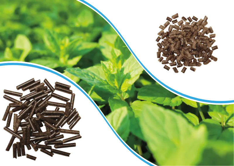 Schafwolldünger mit KALI-Power als Pellets und als Granulat für Profis - Gemüsebau, Gärtnerei, Kräutererzeuger, Gartenbau